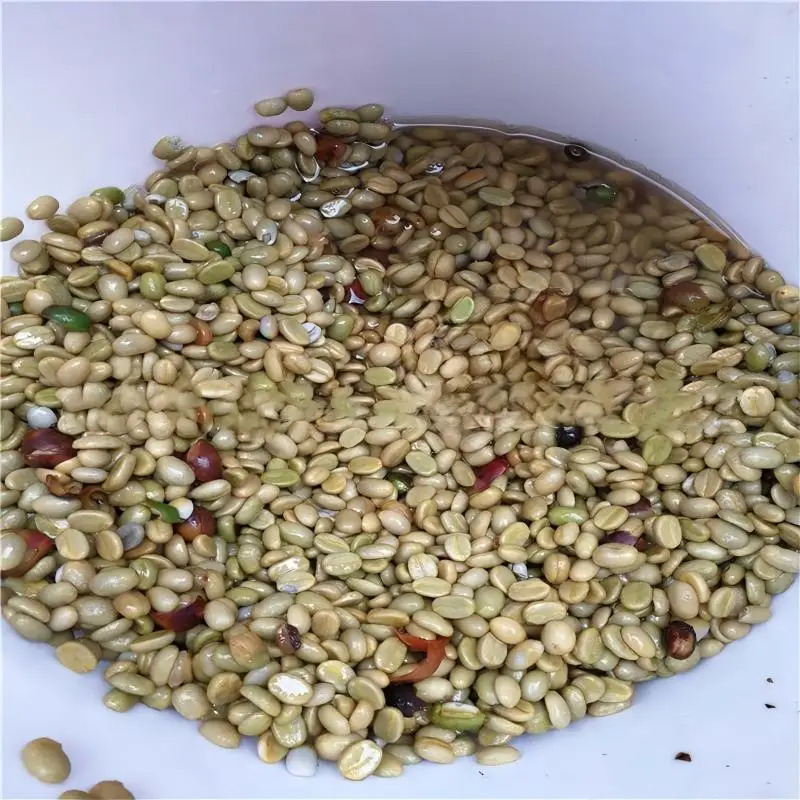Specialty Parchment Coffee Roa - Coffee Equipment For Business ulasan dan harga